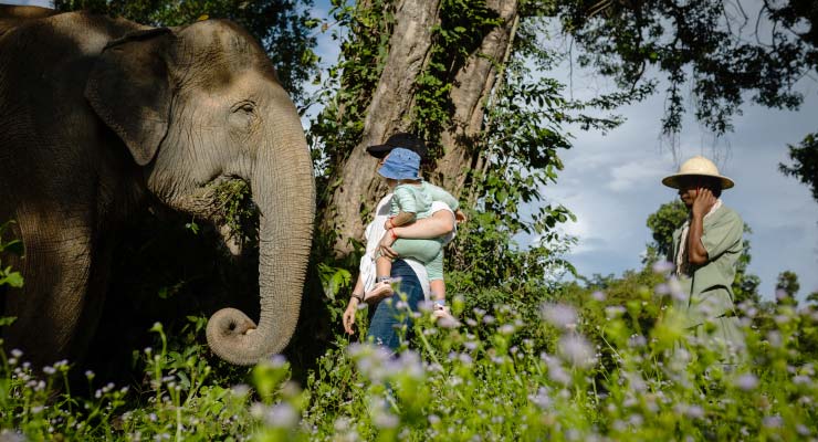 5 Unusual Things to Do in Cambodia - 2025